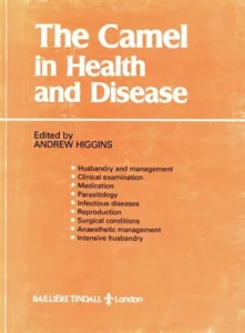 The Camel in Health and Disease