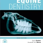 Equine Dentistry, 3rd Edition