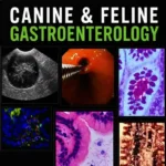 Canine and Feline Gastroenterology pdf cover