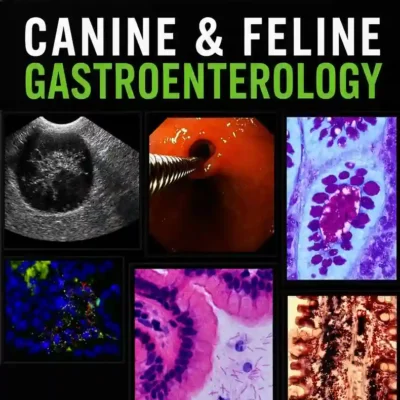 Canine and Feline Gastroenterology pdf cover