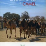 Nutrient Requirements of Camel