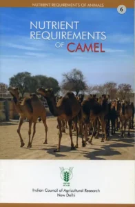 Nutrient Requirements of Camel