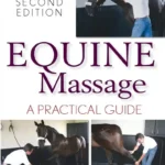 Equine Massage A Practical Guide, 2nd Edition pdf cover