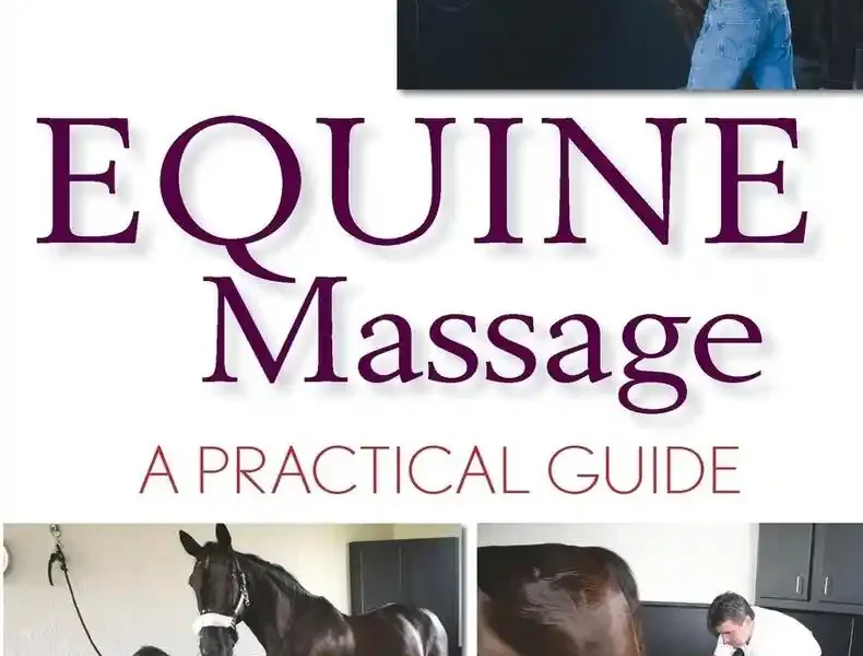 Equine Massage A Practical Guide, 2nd Edition pdf cover