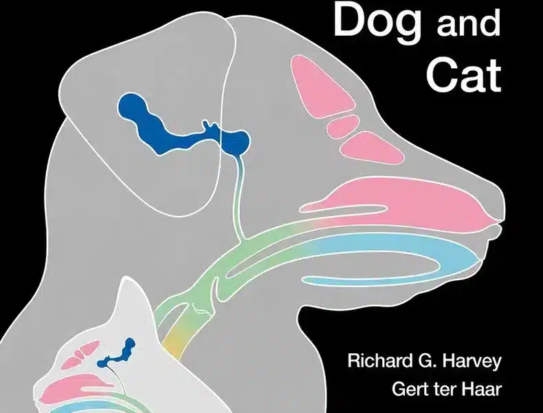 Ear, Nose and Throat Diseases of the Dog and Cat cover
