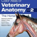 Color Atlas of Veterinary Anatomy, Volume 2, The Horse, 2nd Edition