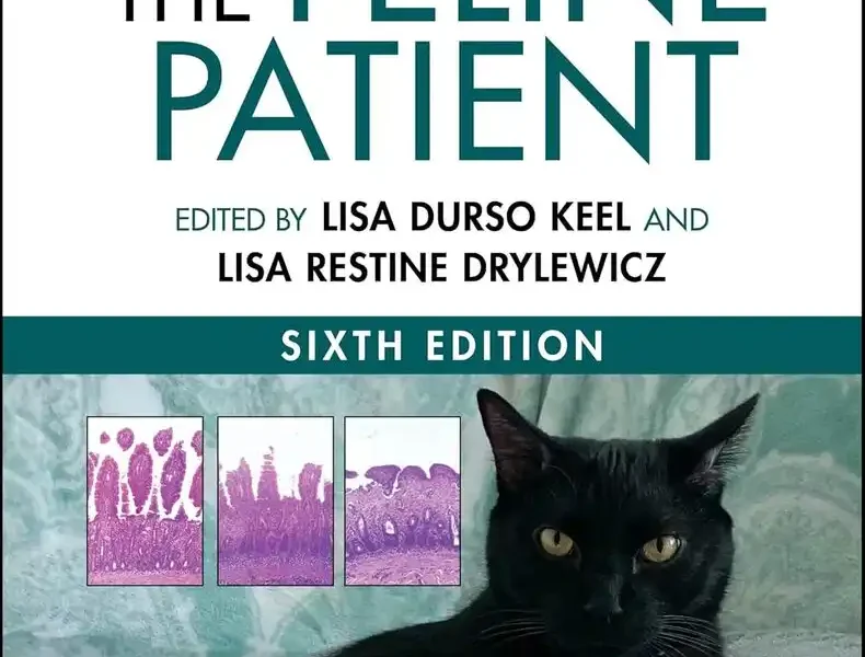 The Feline Patient, 6th Edition pdf cover