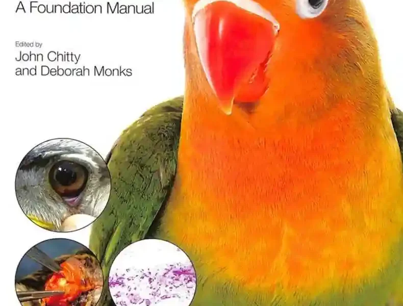 BSAVA Manual of Avian Practice A Foundation Manual