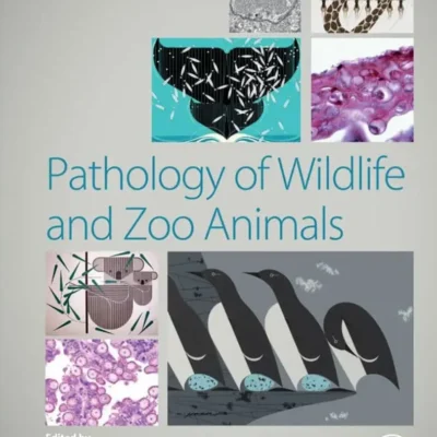 Pathology of Wildlife and Zoo Animals pdf cover