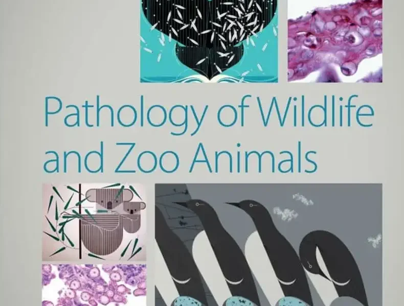 Pathology of Wildlife and Zoo Animals pdf cover