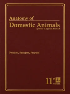 Anatomy of Domestic Animals Systemic and Regional Approach, 11th Edition pdf cover