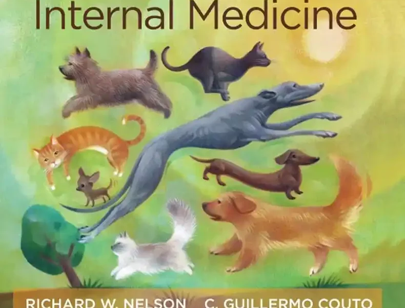 Small Animal Internal Medicine, 6th Edition