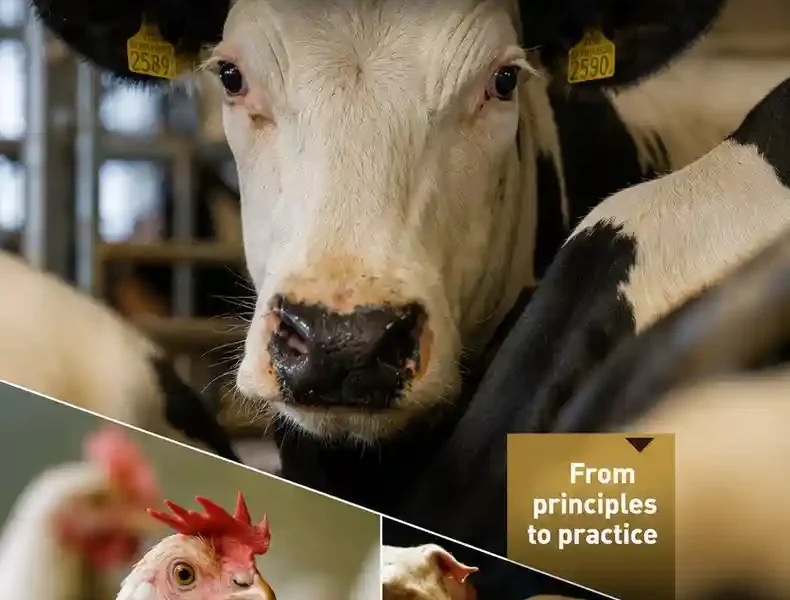 Biosecurity in Animal Production and Veterinary Medicine From Principles to Practice