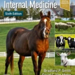 Large Animal Internal Medicine, 6th Edition pdf cover