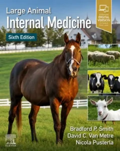Large Animal Internal Medicine, 6th Edition pdf cover