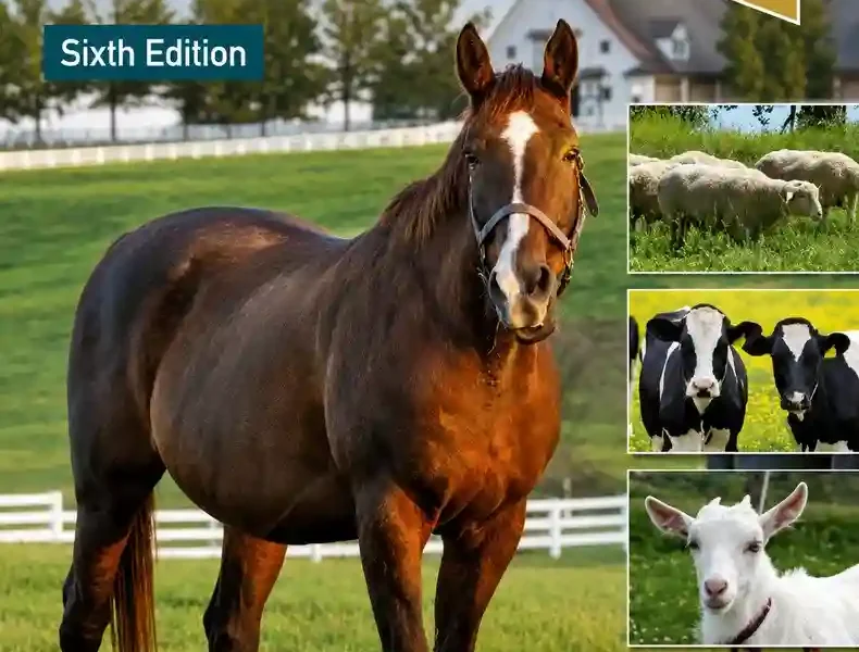 Large Animal Internal Medicine, 6th Edition pdf cover