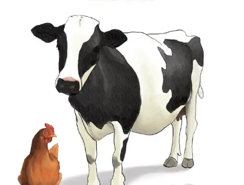 Asking Animals An Introduction to Animal Behaviour Testing