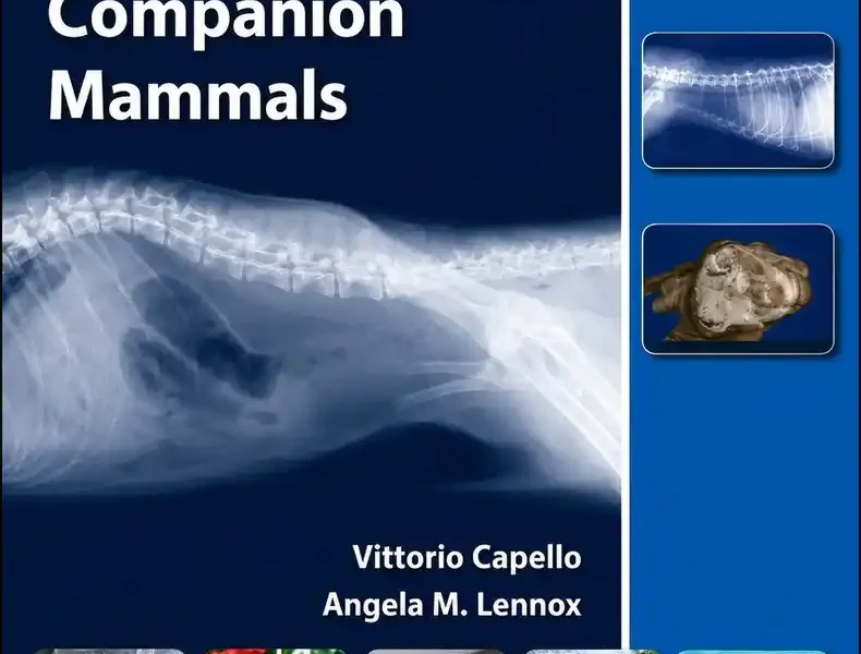 Clinical Radiology of Exotic Companion Mammals pdf cover