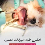 أطلس طب الحيوانات الصغيرة