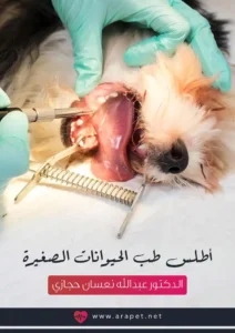 أطلس طب الحيوانات الصغيرة
