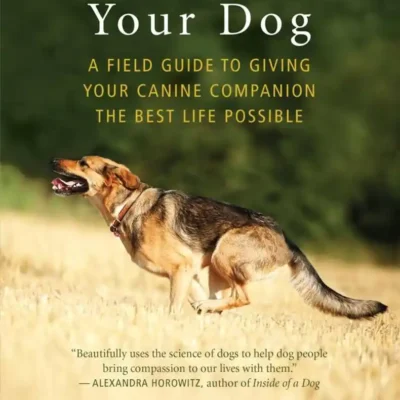 Unleashing Your Dog A Field Guide to Giving Your Canine Companion the Best Life Possible pdf cover