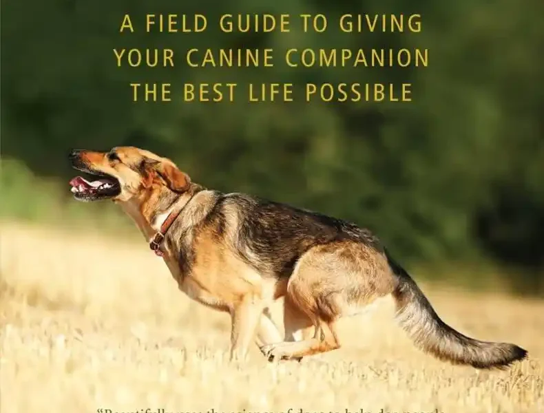 Unleashing Your Dog A Field Guide to Giving Your Canine Companion the Best Life Possible pdf cover