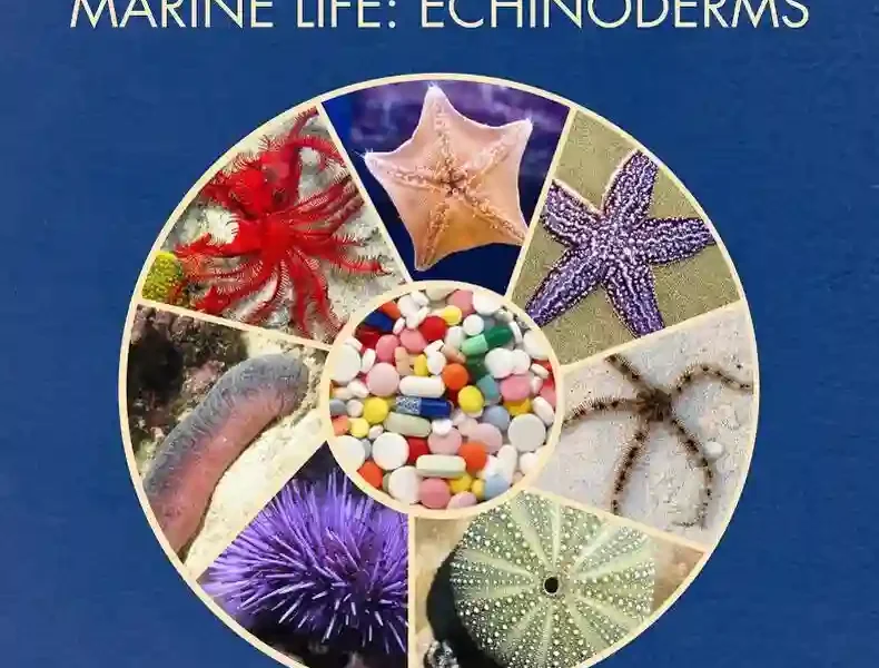 Biology and Ecology of Pharmaceutical Marine Life, Echinoderms