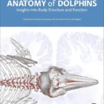 Anatomy of Dolphins Insights into Body Structure and Function pdf cover