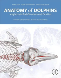 Anatomy of Dolphins Insights into Body Structure and Function pdf cover