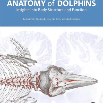 Anatomy of Dolphins Insights into Body Structure and Function pdf cover