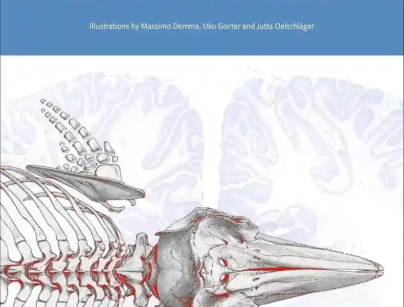 Anatomy of Dolphins Insights into Body Structure and Function pdf cover