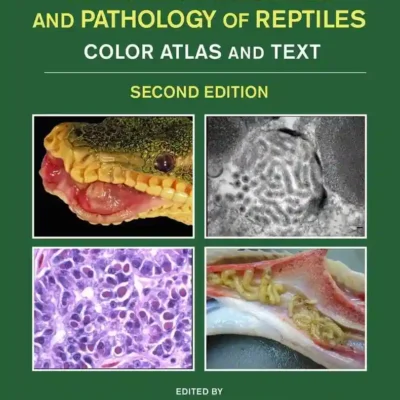Infectious Diseases and Pathology of Reptiles, Color Atlas and Text, 2nd Edition (Volume 1)