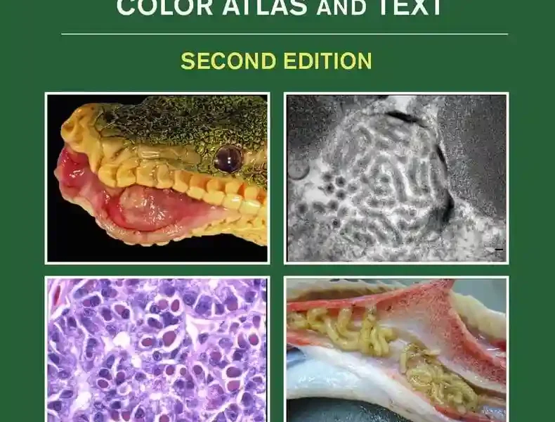 Infectious Diseases and Pathology of Reptiles, Color Atlas and Text, 2nd Edition (Volume 1)