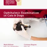 Ophthalmic Examination in Cats and Dogs A Practical Guide for General Practitioners (DVD)