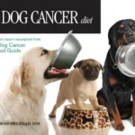 The Dog Cancer Diet cover