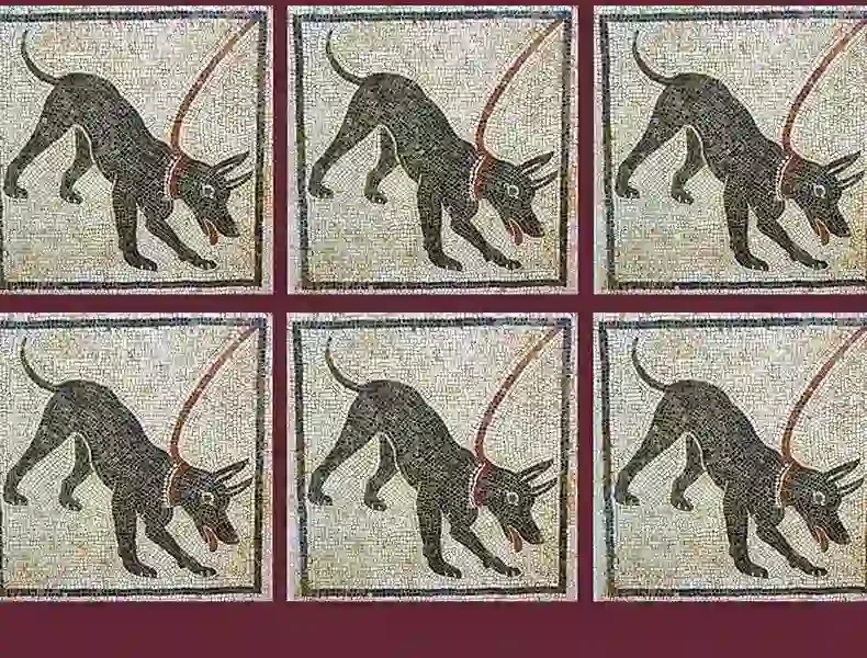 Demystifying Dog Behaviour for the Veterinarian