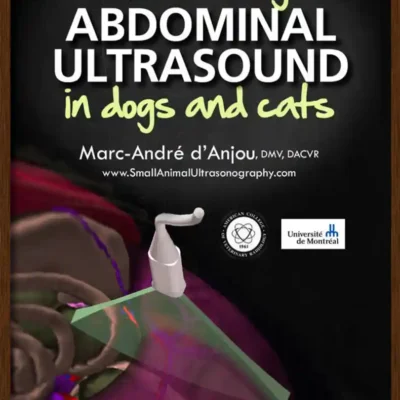Mastering Abdominal Ultrasound in Dogs and Cats