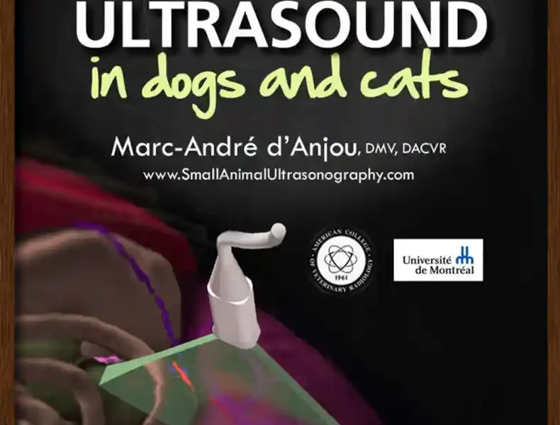Mastering Abdominal Ultrasound in Dogs and Cats