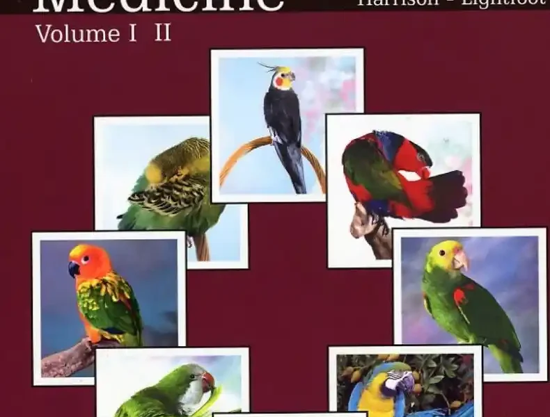 Clinical Avian Medicine 2-Volume Set