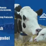 Maternity Assisted Calving Protocols DVD