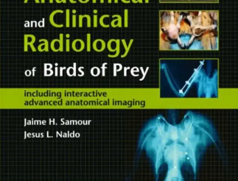 Anatomical and Clinical Radiology of Birds of Prey