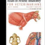 Atlas of Feline Anatomy for Veterinarians, 2nd Edition pdf cover