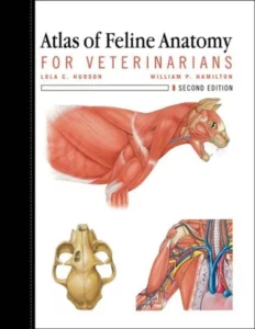 Atlas of Feline Anatomy for Veterinarians, 2nd Edition pdf cover