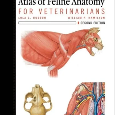Atlas of Feline Anatomy for Veterinarians, 2nd Edition pdf cover