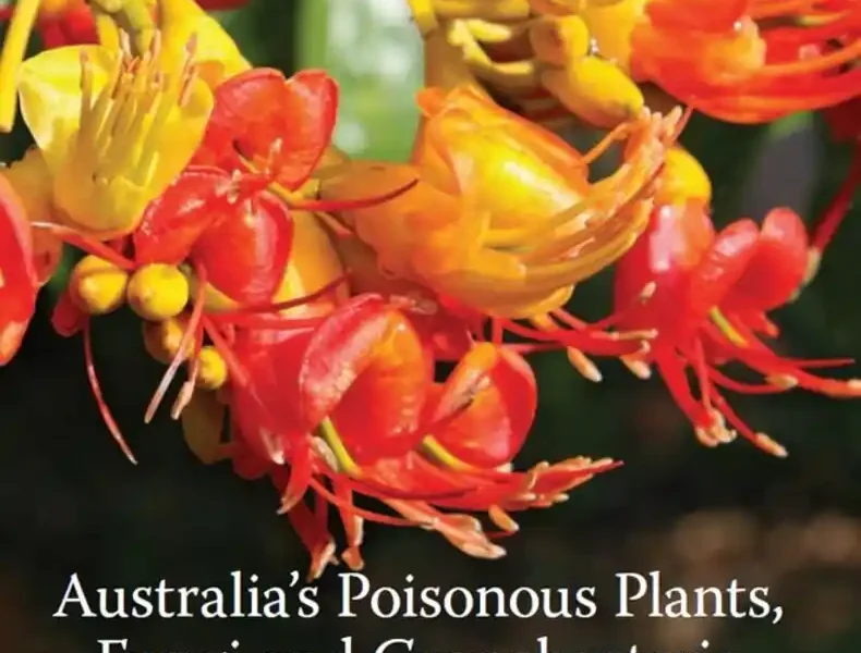 Australia’s Poisonous Plants, Fungi and Cyanobacteria: A Guide to Species of Medical and Veterinary Importance cover