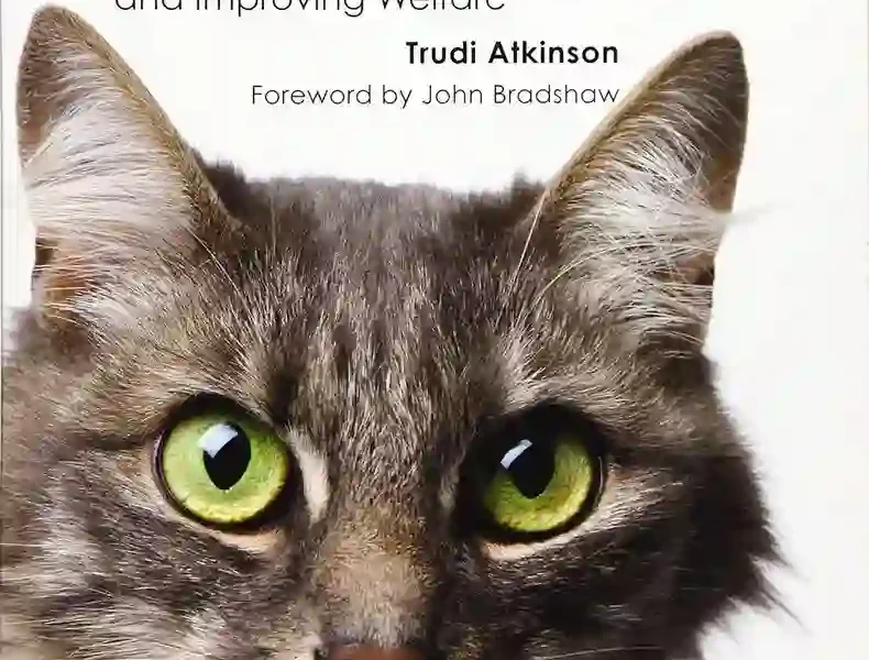Practical Feline Behaviour Understanding Cat Behaviour and Improving Welfare