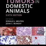 Tumors in Domestic Animals, 6th Edition pdf download