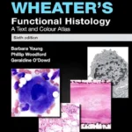 Wheater’s Functional Histology A Text and Colour Atlas, 6th Edition pdf cover
