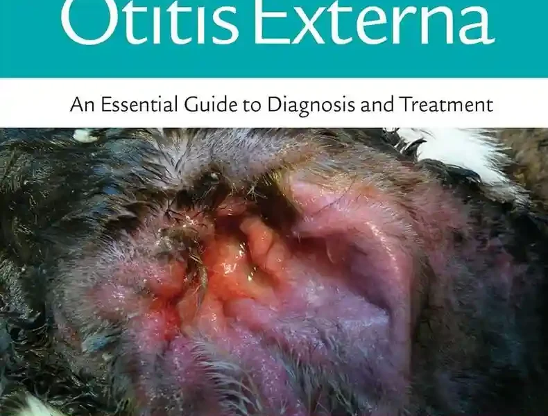Otitis Externa An Essential Guide to Diagnosis and Treatment pdf cover