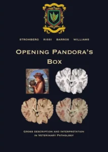Opening Pandora’s Box: Gross Description and Interpretation in Veterinary Pathology pdf cover